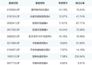 基金闪现风格切换 人工智能应用端有望成新主线